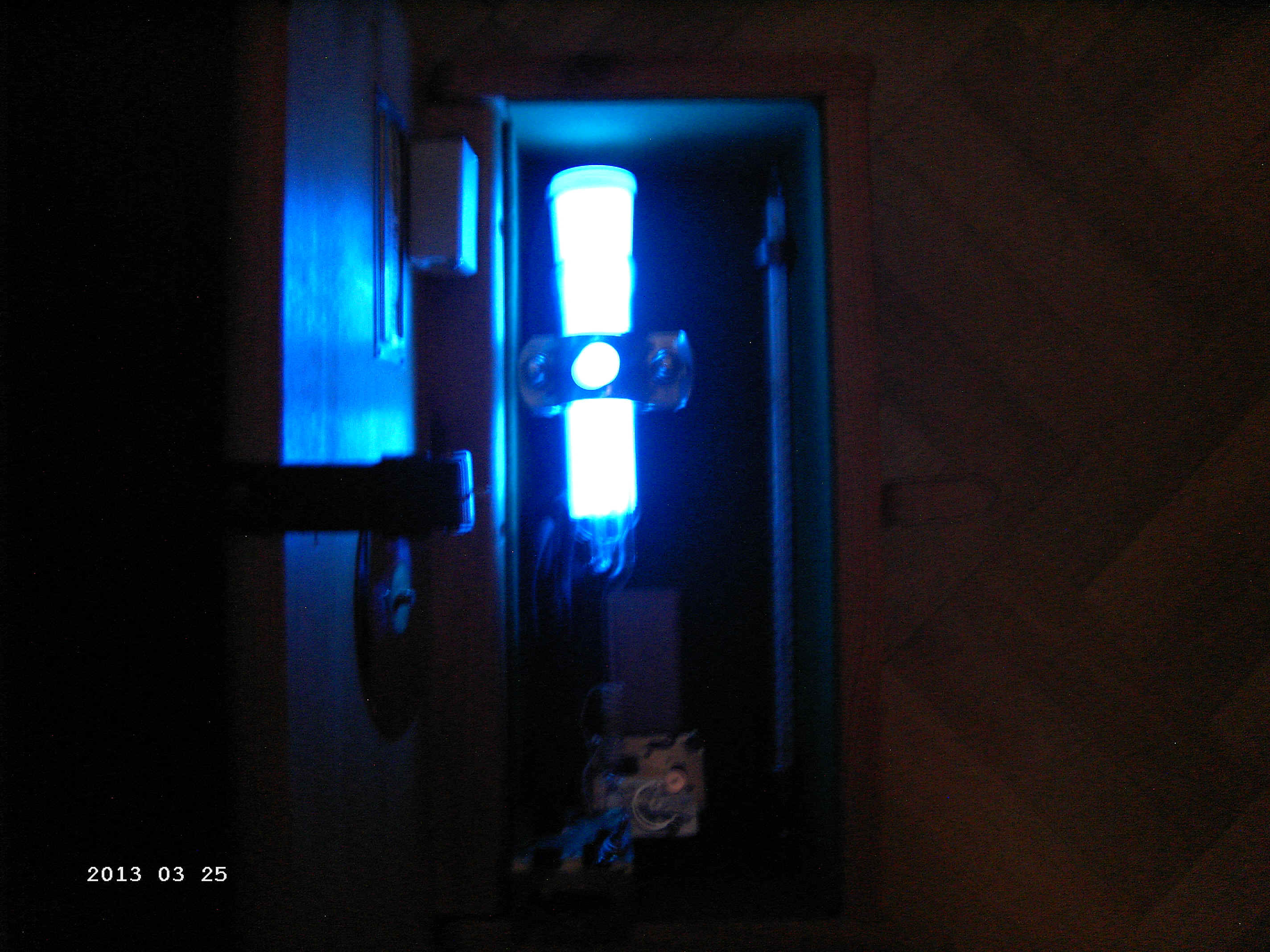 PICT1029.JPG (2759179 Byte)